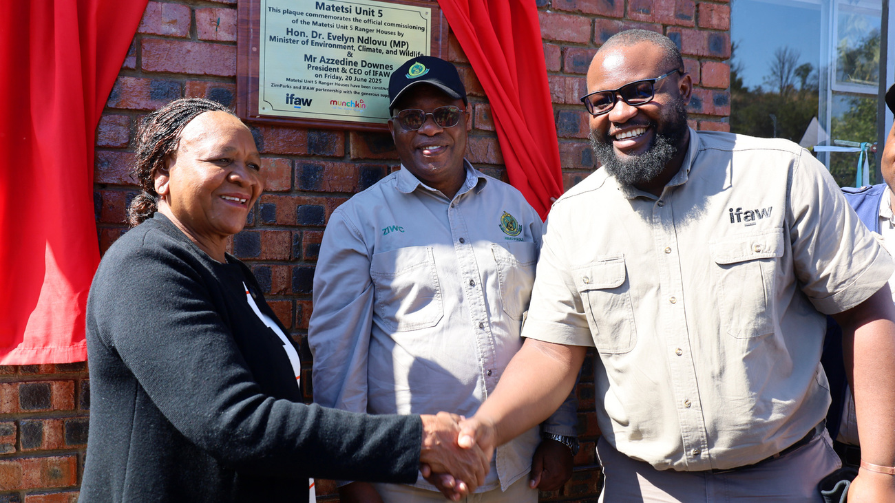 Zimbabwe’s Minister of Environment, Climate, Tourism and Hospitality, Dr Evelyn Ndlovu, Board Chairperson of ZimParks, Dr Agrippa Sora, IFAW’s Arnold Tshipa, Field Operations Manager