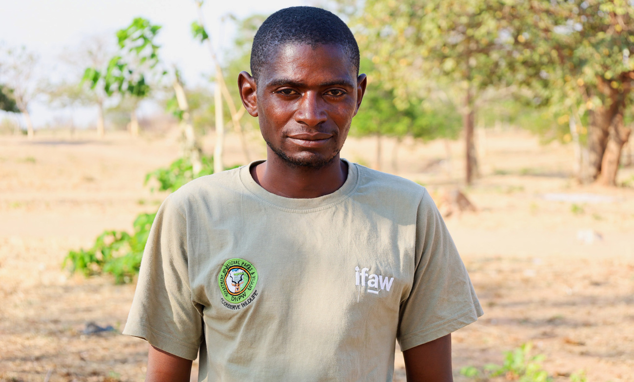 Primary Response Team members trained by IFAW and Zambia’s DNPW stand ready to help communities respond to human-elephant conflict in the Lukusuzi–Lundazi landscape.