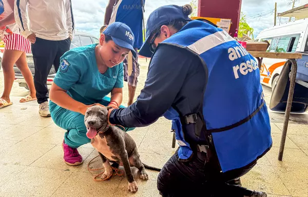 IFAW supports disaster relief in Hurricane Erick’s aftermath