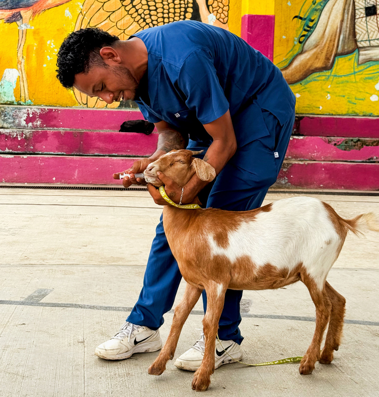 IFAW’s Hurricane Erick response in Mexico.