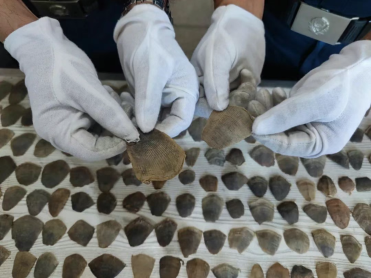 Pangolin scales seized by Yunnan Ruili Customs of China
