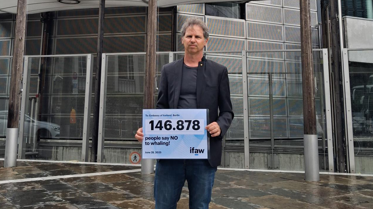 Ein Mann im Anzug steht vor einem gläsernem Gebäude und hält ein Schild in der Hand. Darauf ist das IFAW Logo und die Zahl 146.878 abgebildet.
