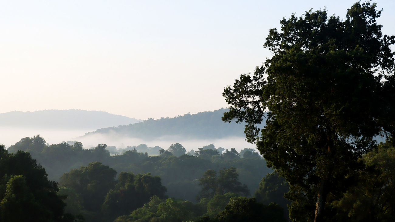 Sunrise over Loita Forest.