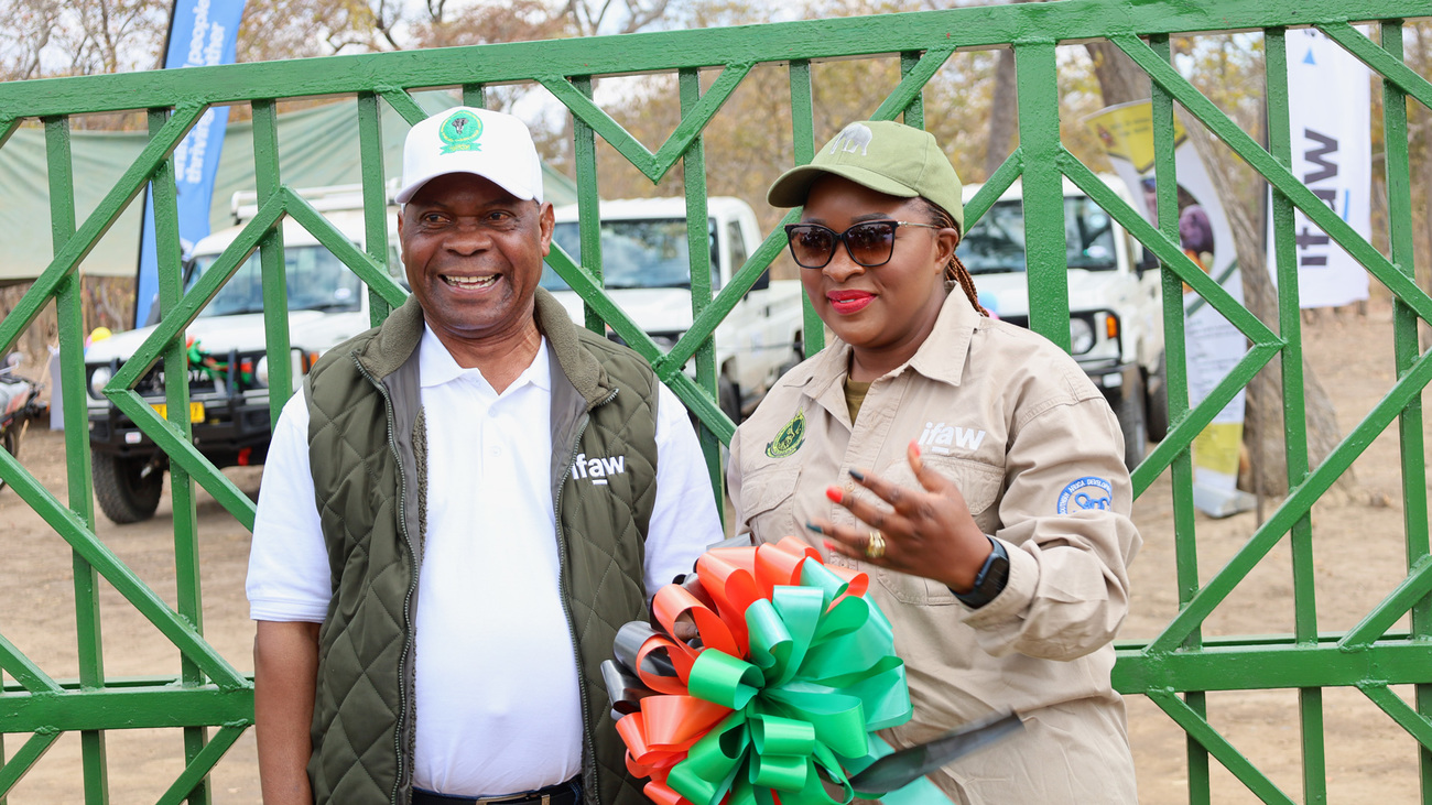 Malawi's Minister of Tourism, Dr Vera Kamtukele, and Patricio Ndazela, IFAW Malawi Country Director, were all smiles at the commissioning ceremony for Kasungu National Park's solar-powered fence.
