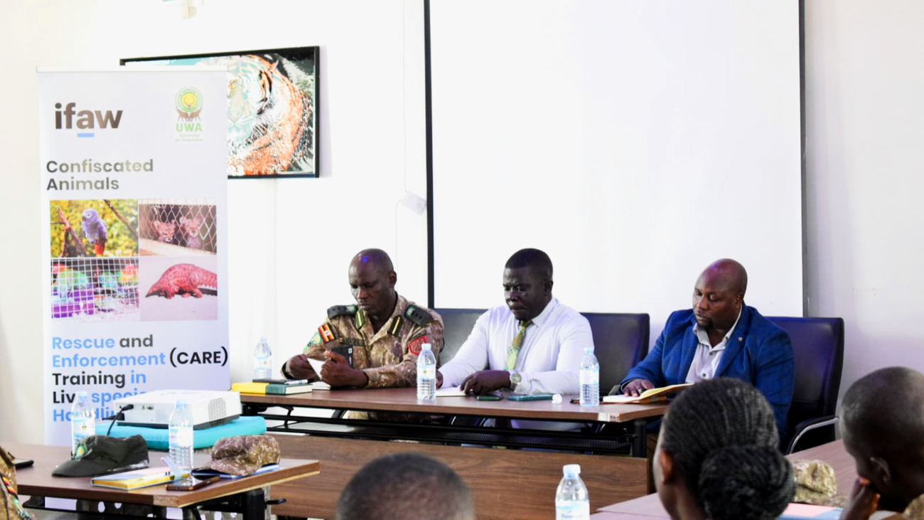 Participants take part in an IFAW LAST project training session in Arua, Uganda, focused on improving the care and management of live animals seized in the illegal wildlife trade.