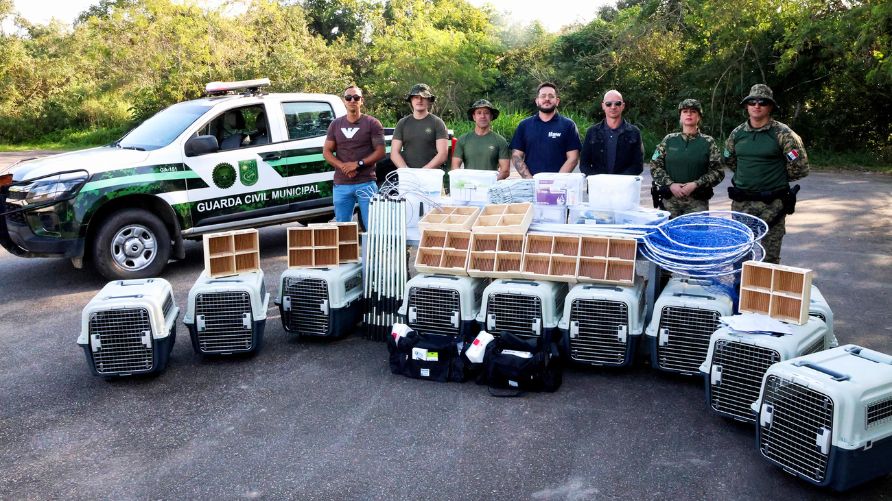 Brazilian enforcement officers and an IFAW team member stand behind newly delivered confiscator kits—part of a joint effort to strengthen wildlife enforcement capacity across the country.