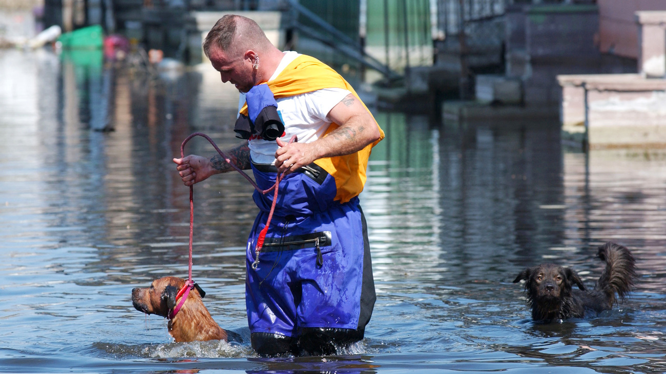 Chris Fagen, ASPCA NY, rescues a dog from a flooded home.