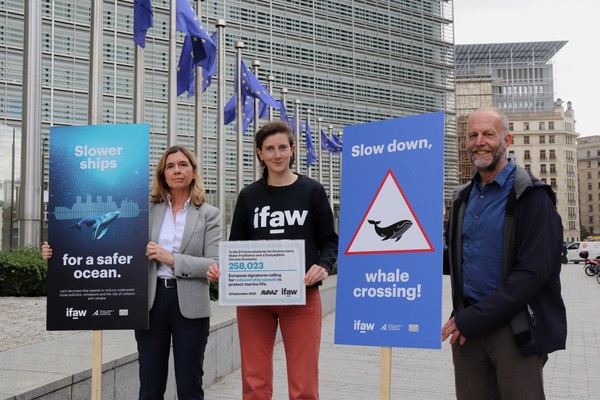 Les citoyens européens réclament des navires plus lents pour mieux protéger les baleines 