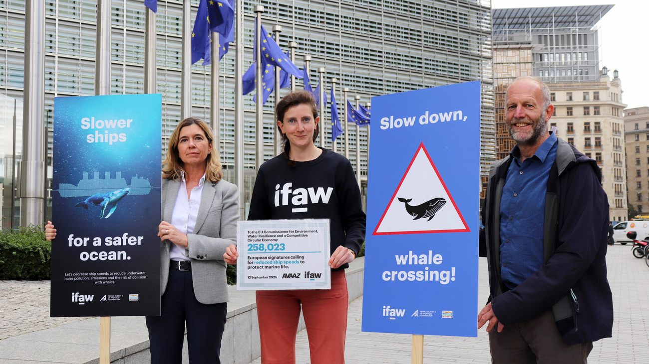 Members of IFAW’s Blue Speeds team outside the Berlaymont building with the petition handover cheque.