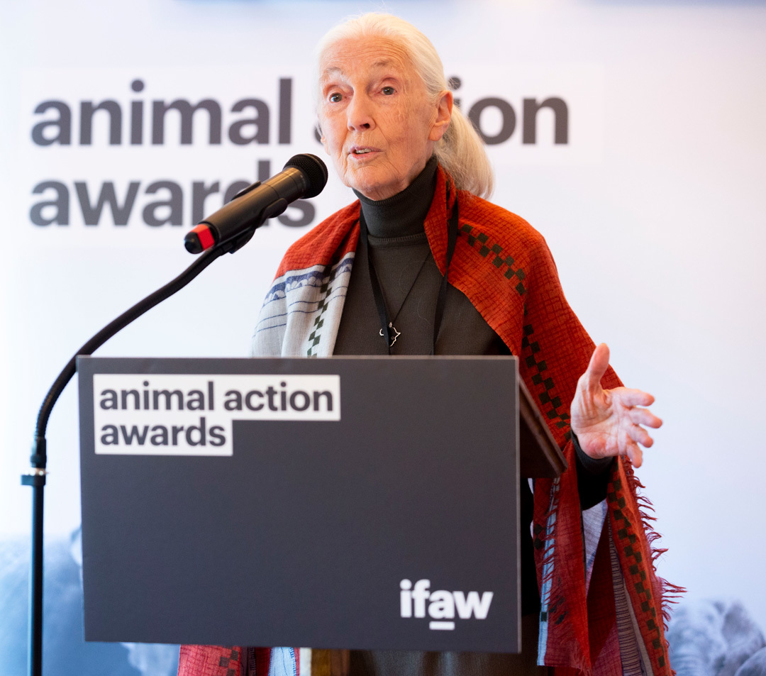 Dr. Jane Goodall speaking at the 2022 Animal Action Awards.