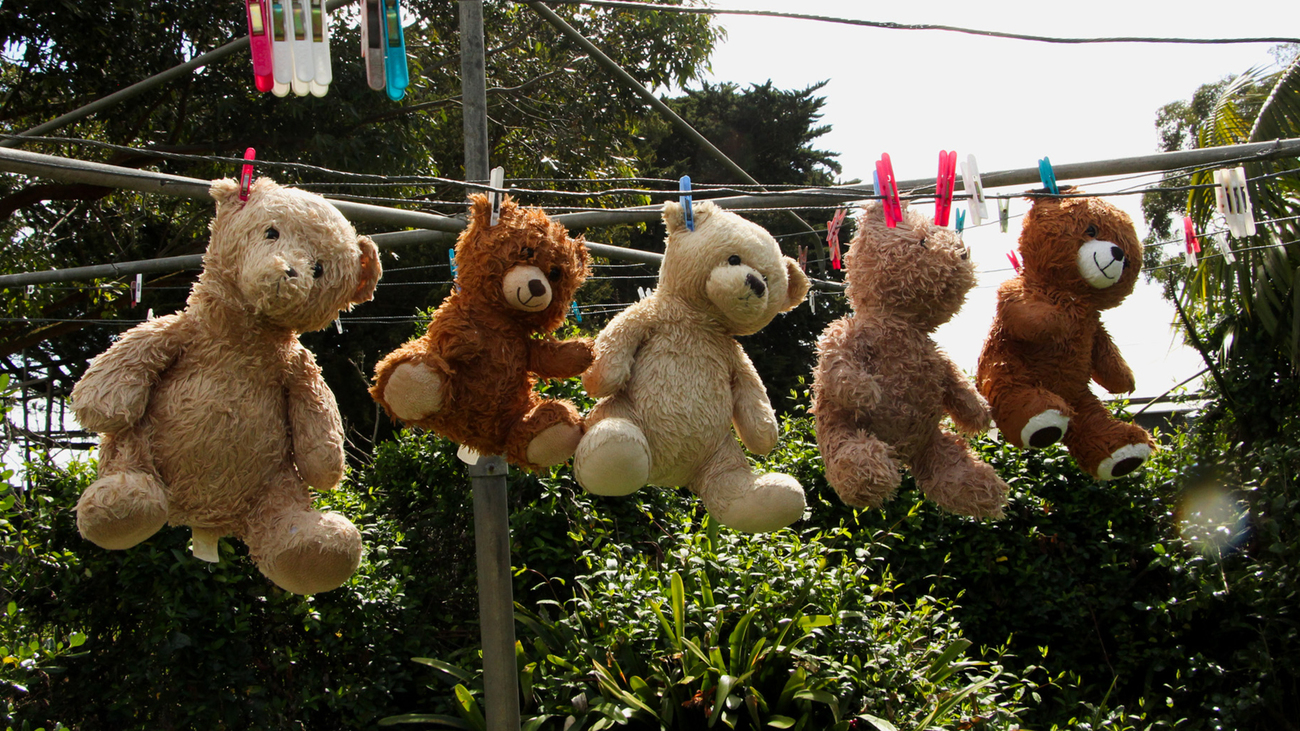 Knuffels hangen te drogen aan de waslijn bij Mosswood Wildlife.