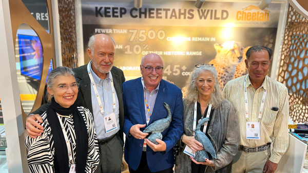 Azzedine Downes receives the Order of the California Condor Award at IUCN Congress