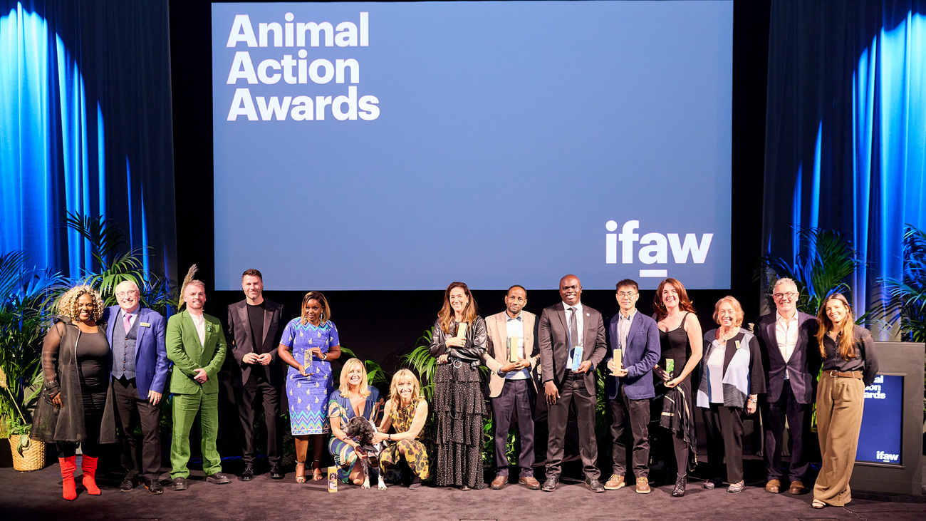 Winners of the 2025 Animal Action Awards.