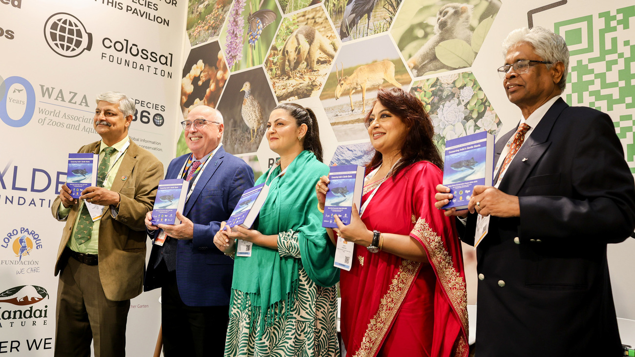 From left: Vivek Menon, IFAW President and CEO Azzedine Downes, and others hold copies of “The Gentle Giants: Whale Shark Conservation in India (2002-2025)” at the IUCN World Conservation Congress in Abu Dhabi.