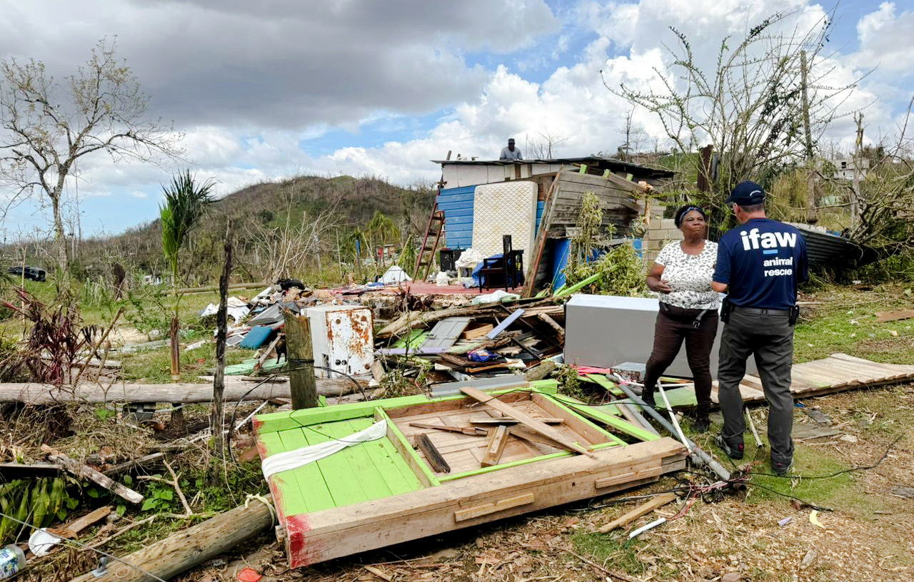 Widespread damage to homes and shelters in Jamaica following Hurricane Melissa, as IFAW's disaster responders distribute food and supplies to affected communities.