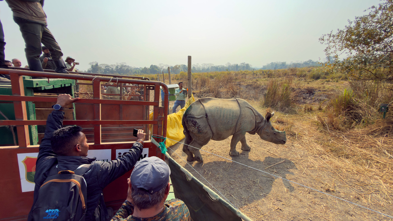 Kanai exits the transport crate into the pre-release enclosure.