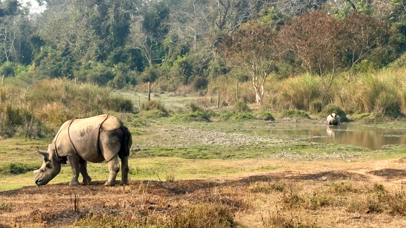 Kanai and Chandra exploring the pre-release enclosure.