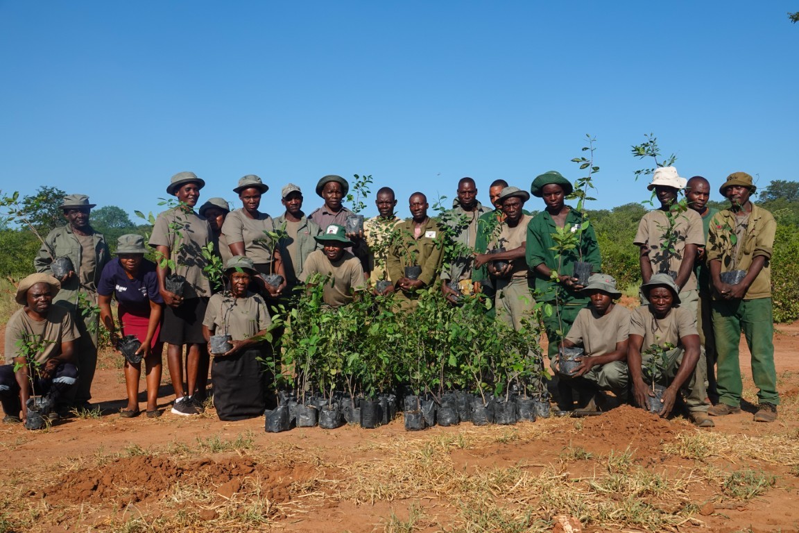 Un groupe de personnes avec des plantes placées devant eux 