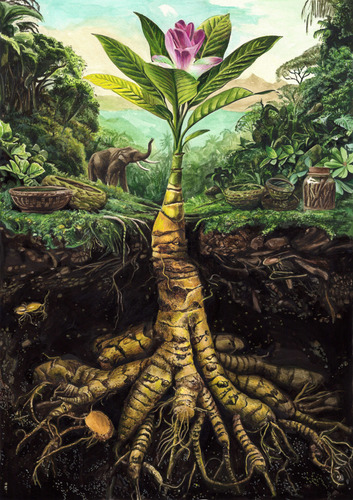 Young artists honored in global contest celebrating World Wildlife Day 2026