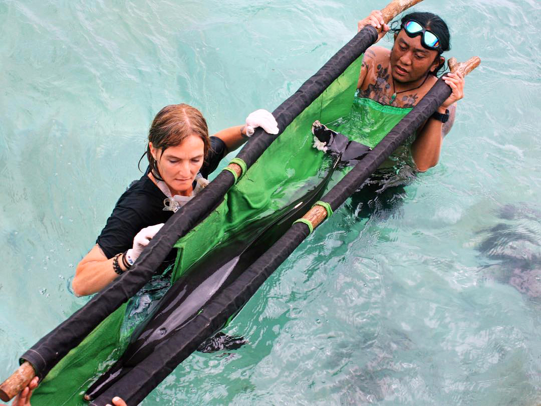 Femke den Haas with rescued dolphin.