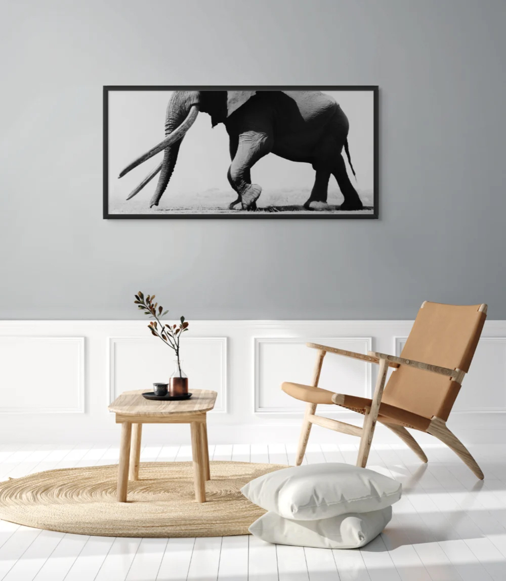 Mockup van het werk Monument: een indrukwekkend portret van big tusker Craig.