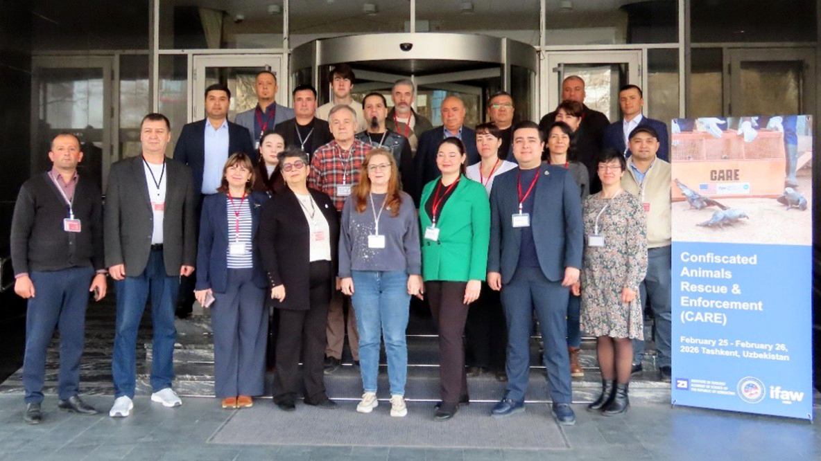 Experts come together to improve care for trafficked wildlife at the CARE training of the trainers workshop held in Uzbekistan in February 2026.