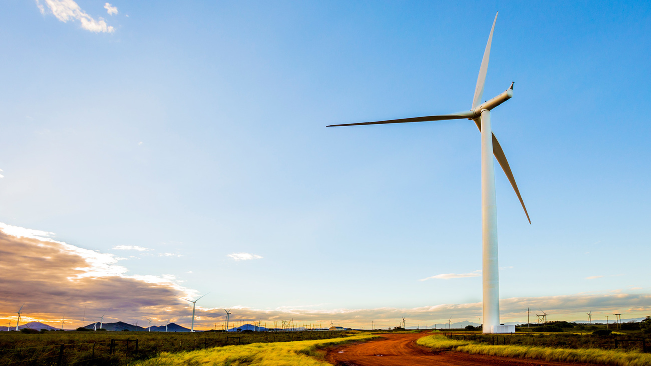 A wind farm in Jeffreys Bay, Kouga Municipality, South Africa.