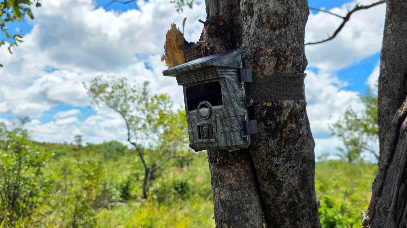 A camera trap mounted in Matetsi Unit 5 to monitor wildlife movement along key migratory routes.