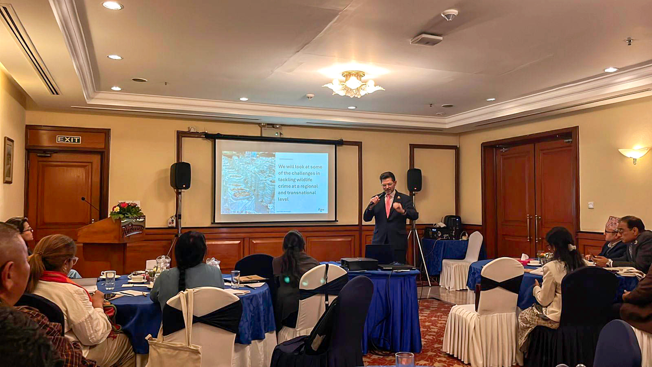 Christian Plowman, Program Manager of Wildlife Cyber Crime at IFAW, presenting at the regional coordination meeting in Nepal hosted by SAWEN, WTI, and IFAW