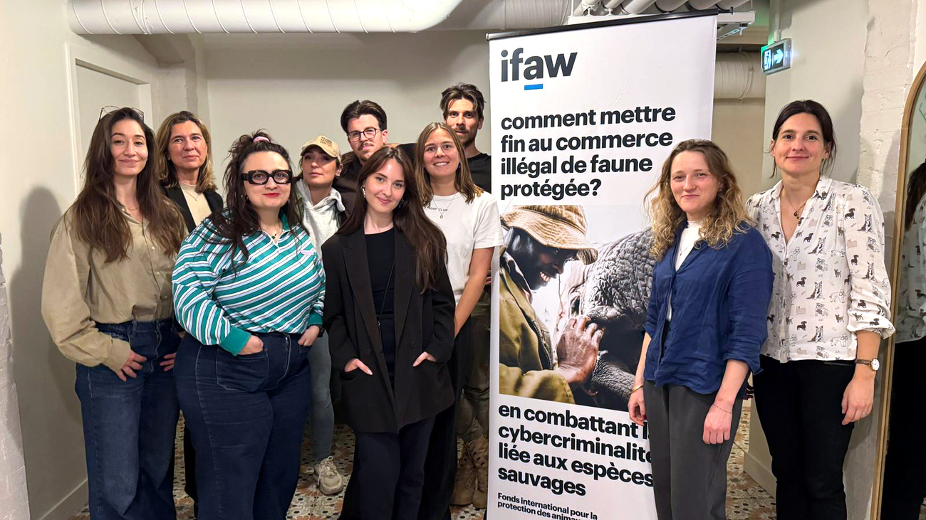 Participants of the workshop on responsible influencing and wildlife, organized by IFAW.