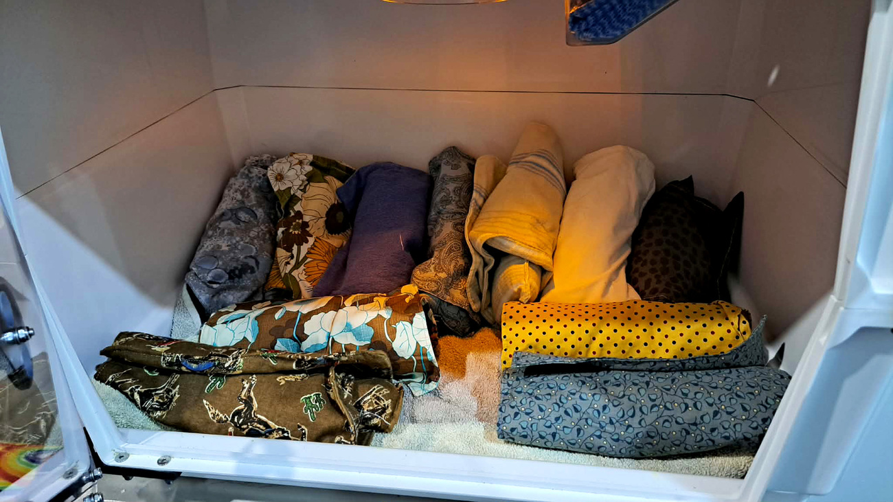 Orphaned flying fox pups undergoing rehabilitation with Wild North Veterinary Hospital, with support from IFAW.