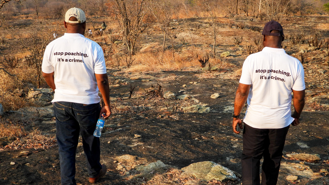 Chief of Party for IFAW’s Malawi-Zambia Transboundary Landscape Project, Patricio Ndadzela, walks with the Director of National Parks and Wildlife, Dr. Chuma Simukonda, in Lukusuzi National Park.