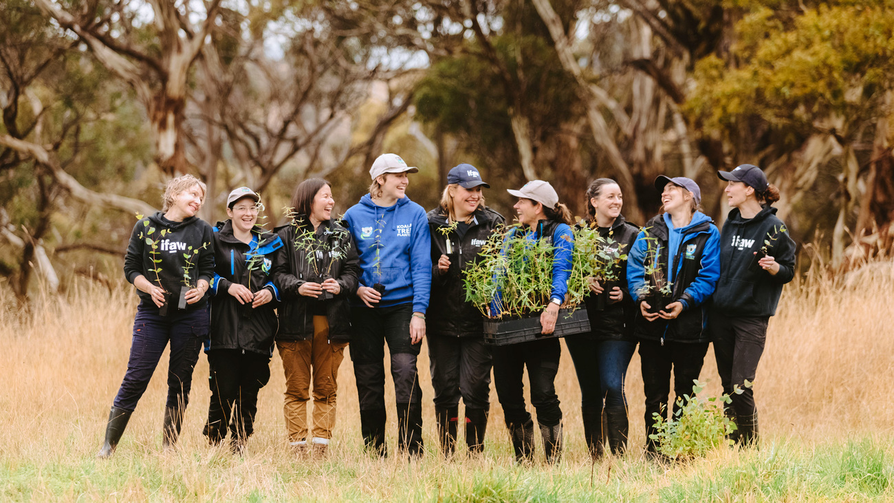 The IFAW and Koala Clancy Foundation team at a tree planting along the Moorabool River in Victoria.