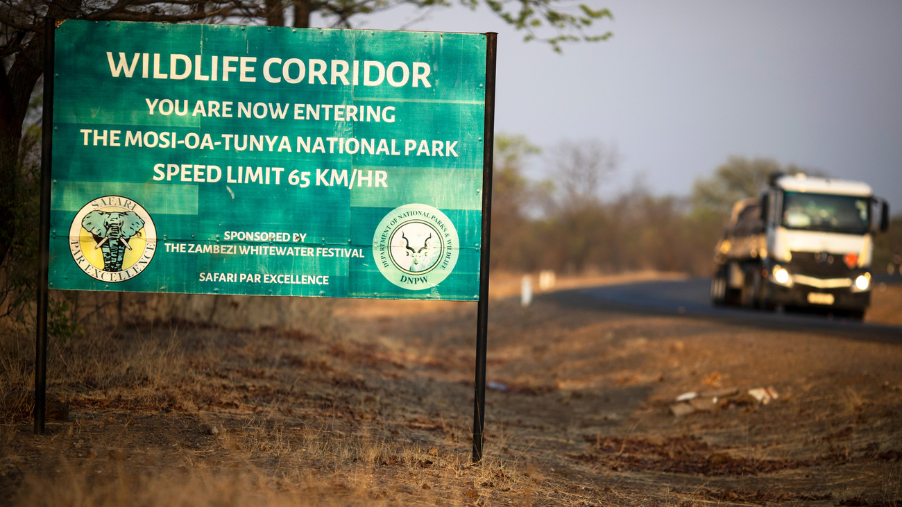 Human encroachment continues to segregate wildlife in South Luangwa National Park, Zambia; creating corridors could bring together up to 85% of southern Africa's elephants into a single, functional metapopulation.