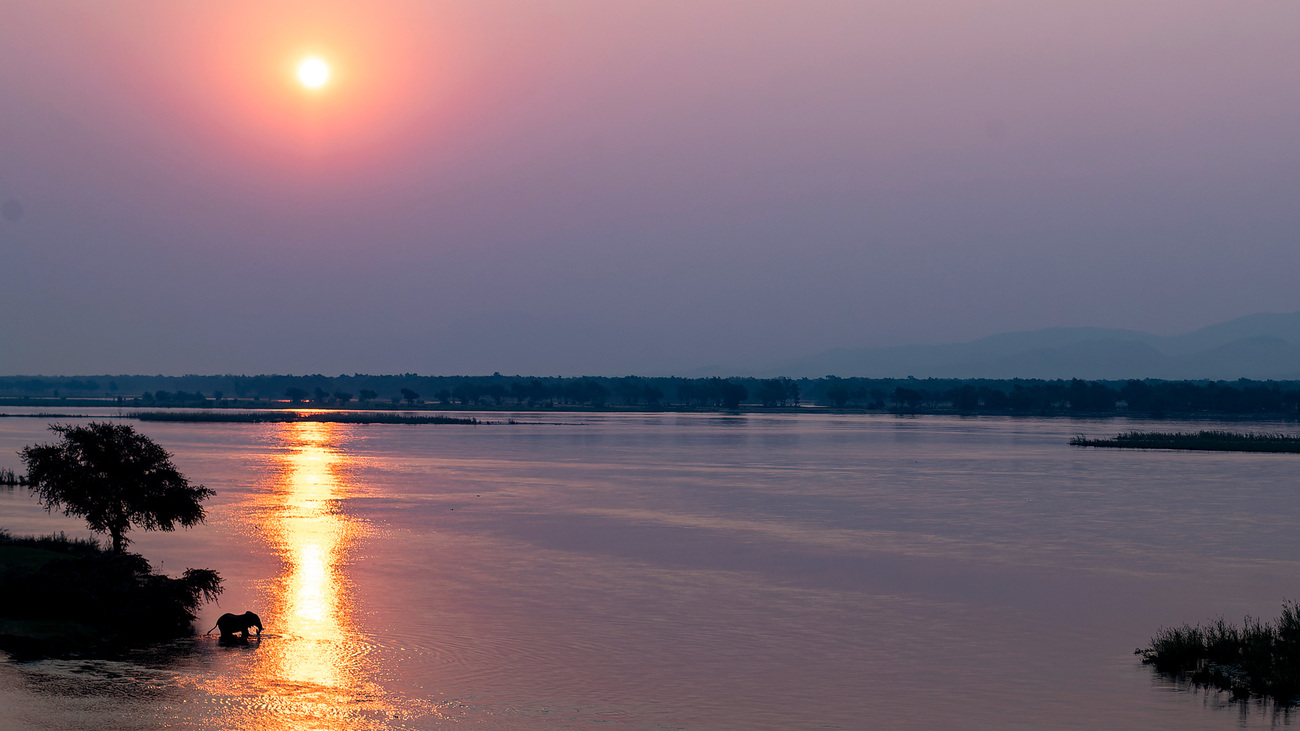 Sunsets over the Zambezi River as an elephant stops to drink.