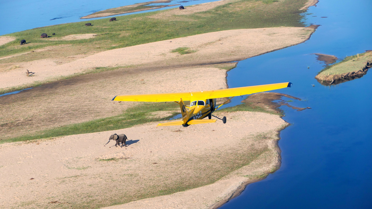 CLZ’s spotter plane conducts an aerial patrol over the Zambezi River in Zambia.