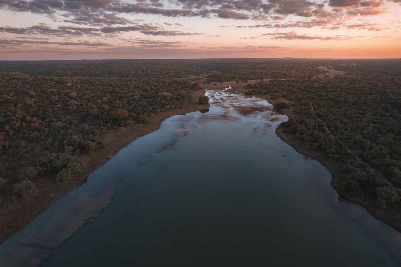  IFAW’s partnerships on the Malawi-Zambia transboundary area help secure 5,366 km² across the Luambe, Lukusuzi and Kasunga National Parks.