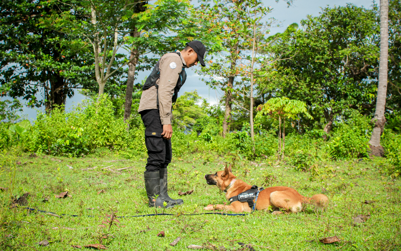 One of the handlers with Jasper from the IFAW-JAAN K9 Unit.