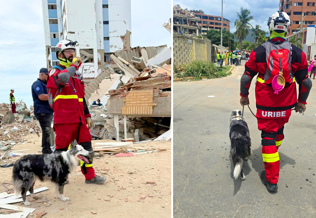 Muunek, an eight-year-old search and rescue dog with Mexico's BRIC Urban Search and Rescue team, helps search for survivors following the devastating earthquakes in Venezuela.