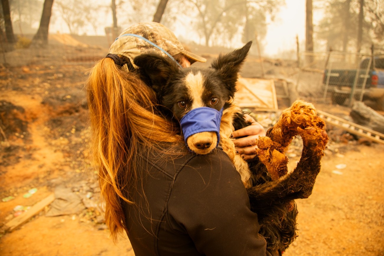 Photo: Scott Anger / © IFAW