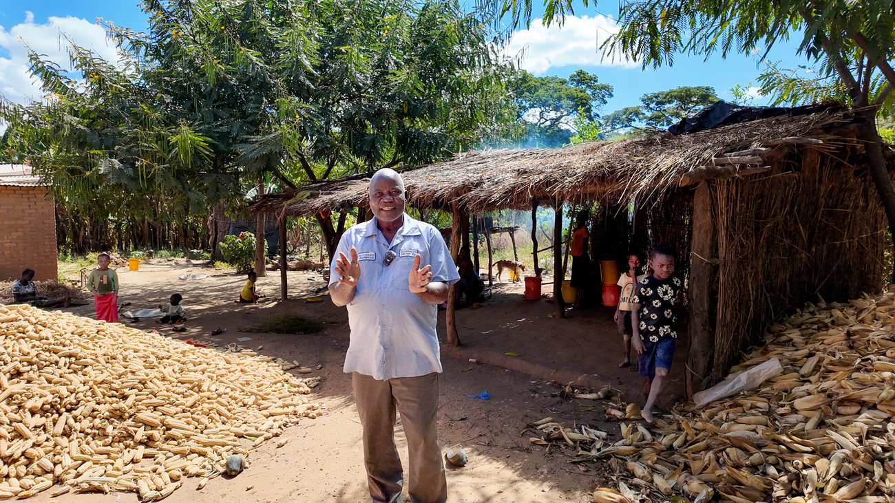 Headman Raphael Nyirongo stands beside towering piles of harvested maize in Zambia.