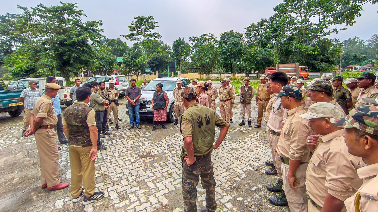 Enforcement officials in Assam, India, confiscate endangered golden langurs from wildlife traffickers following intelligence shared by the IFAW-WTI Wildlife Crime Prevention team.
