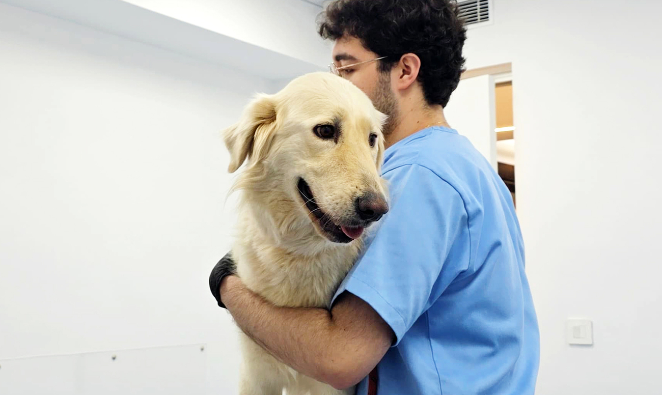Lolo received lifesaving cancer treatment through Give Me A Paw while her guardian remained in conflict-affected southern Lebanon caring for animals in her community.