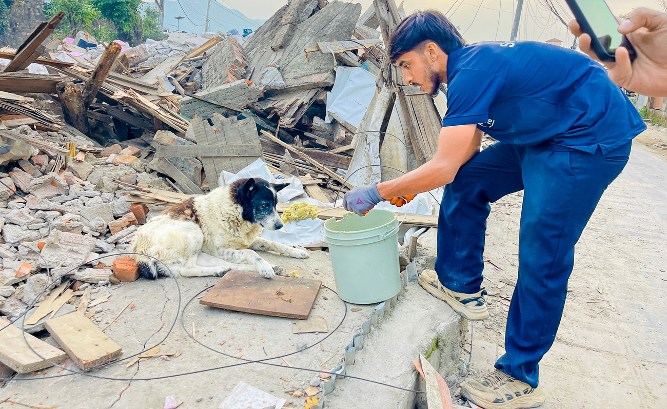 Ein Mann hält einen Eimer in der Hand und steht seitlich vor einem zertrümmerten Gebäude. Ein Hund liegt zwischen den Trümmern vor ihm.