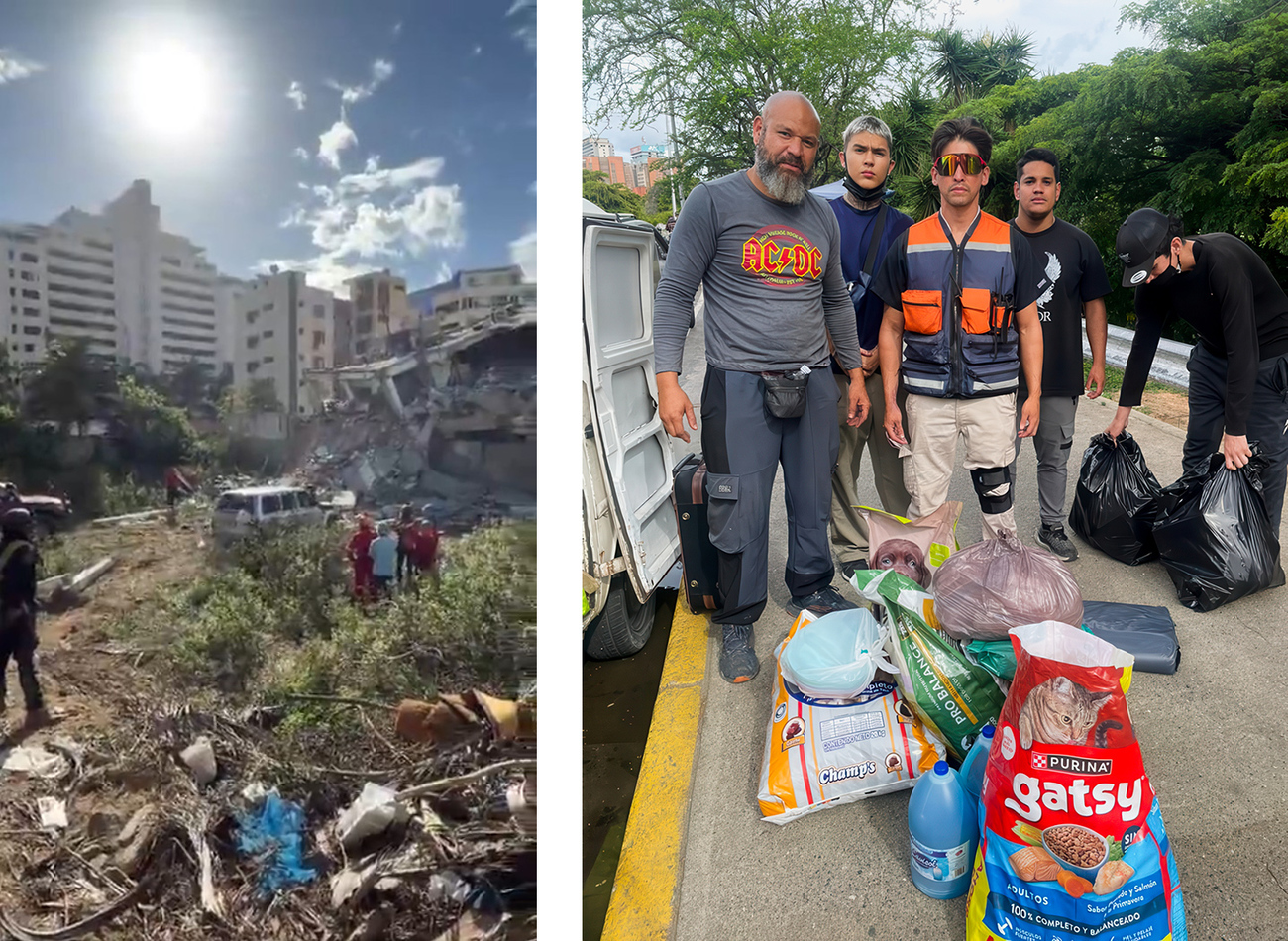 IFAW is supporting our partner Red de Apoyo Canino's response efforts after two tragic earthquakes in Venezuela.