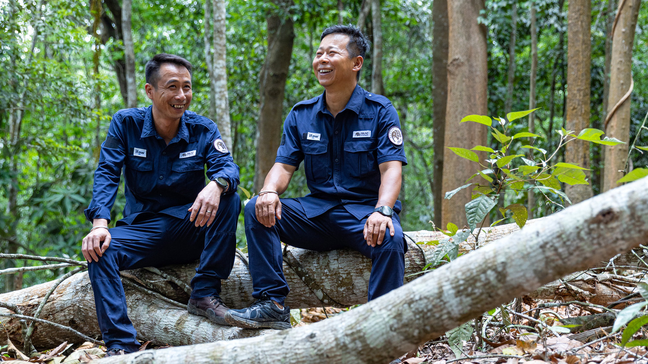 Community rangers, Niu Jiancheng and Ai Hanhuai monitor Asian elephant movements and conduct public outreach to help reduce the risk of human-elephant conflict and promote community safety in China.
