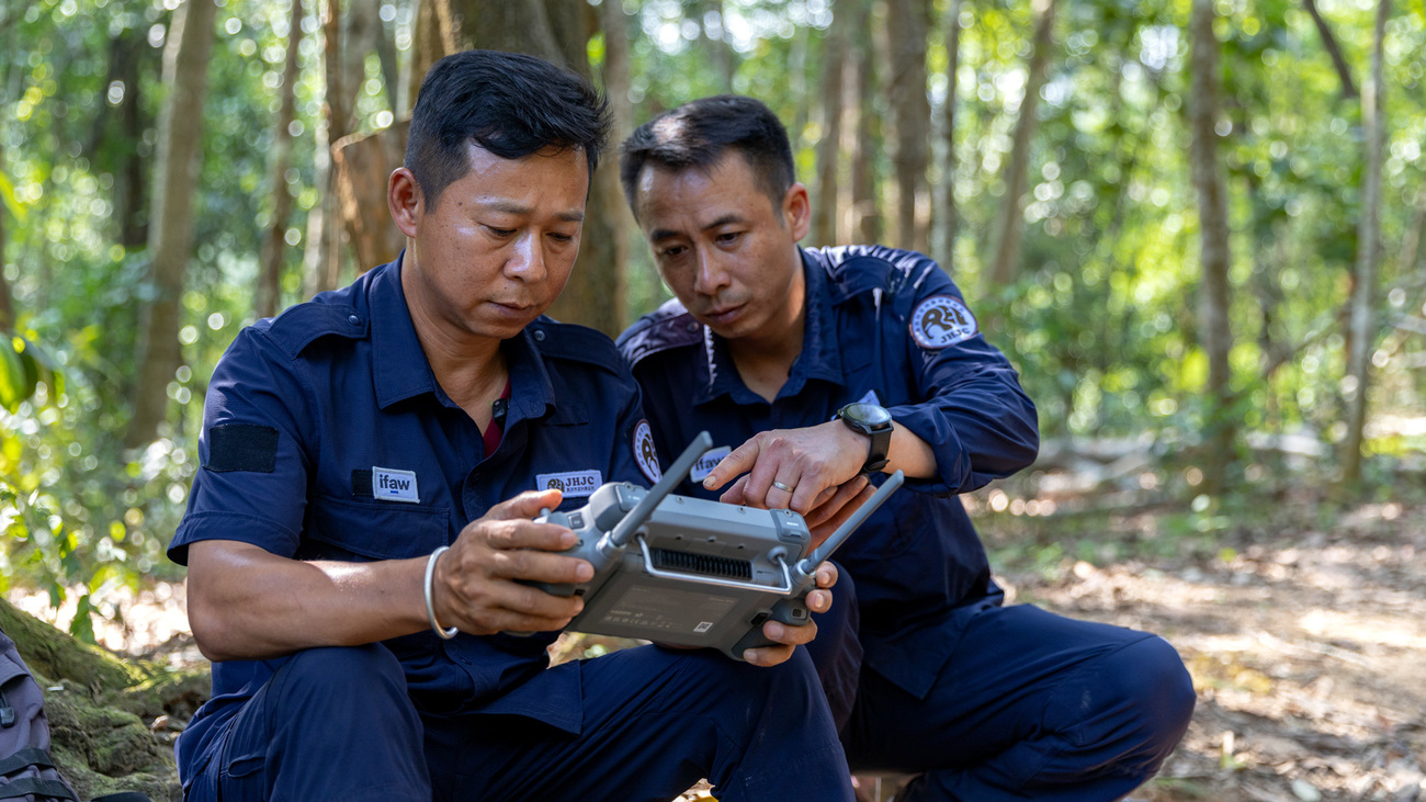 Community rangers Niu Jiancheng and Ai Hanhuai operate a drone to monitor Asian elephant movements and provide early warning alerts to nearby communities in China.