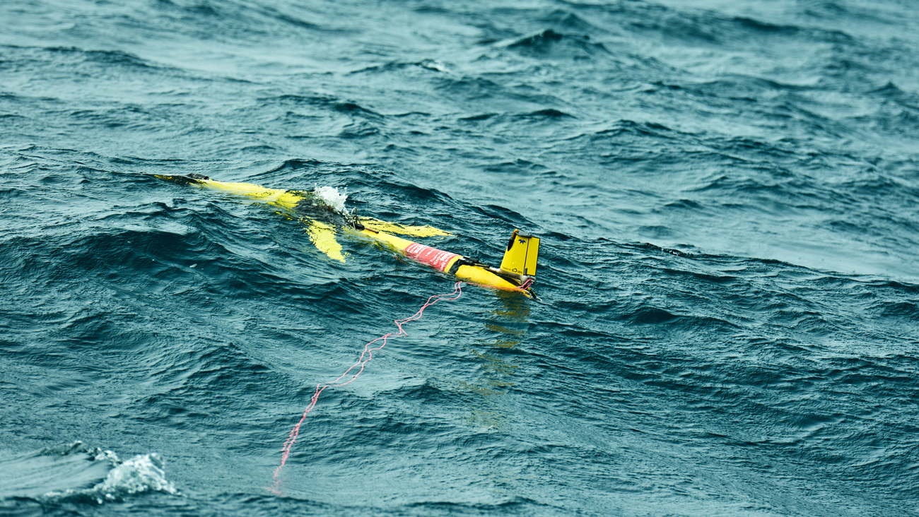 An autonomous underwater glider deployed to monitor North Atlantic right whales and other baleen whales between Iceland and Greenland.
