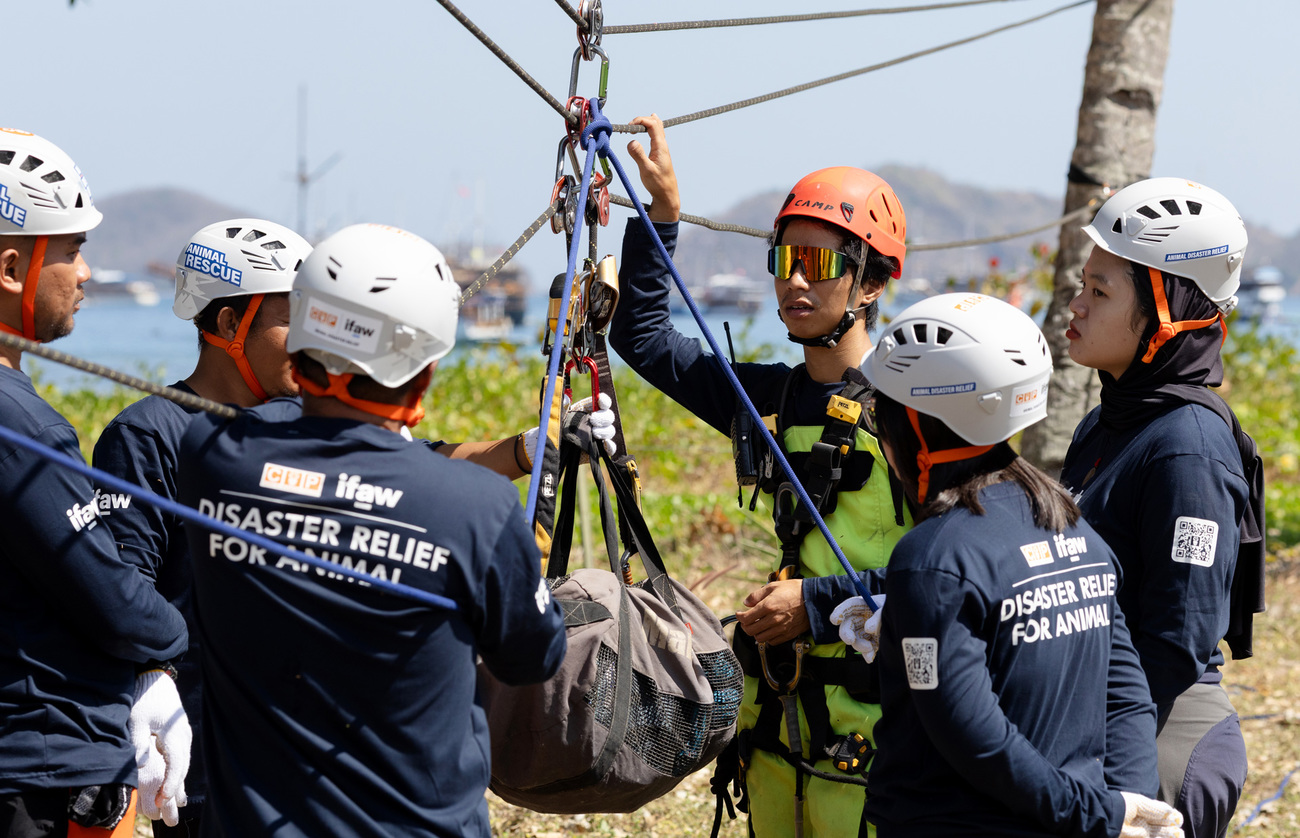 IFAW team delivering disaster preparedness training with Centre for Orangutan Protection (COP) and Bali Animal Welfare Association (BAWA).