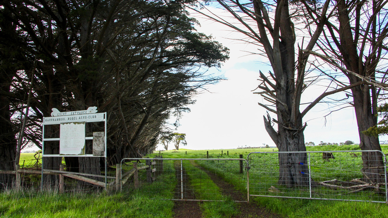 Mosswood, with support from IFAW, has secured land to establish a local koala food tree plot which will provide a sustainable source of fresh browse for the koalas that come through their care.